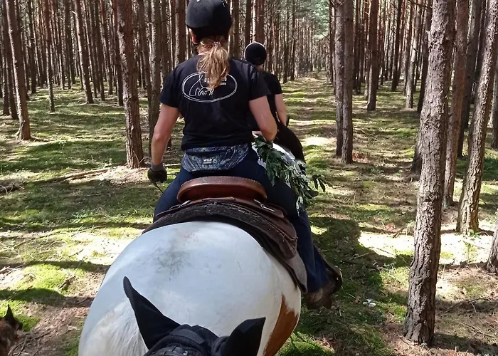 Stajnia Rajdowa Geronimo